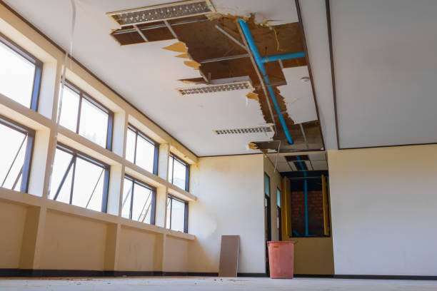 Best Sewage cleanup and water damage restoration  in Phoenixville, PA