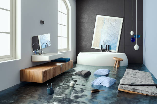 Best Ceiling water damage repair  in Phoenixville, PA
