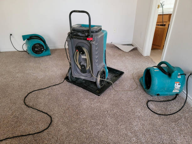 Best Water damage repair service  in Phoenixville, PA
