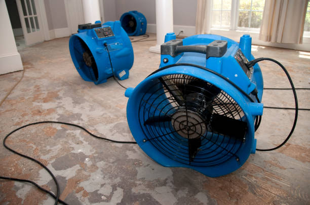 Best 24-hour water damage restoration  in Phoenixville, PA