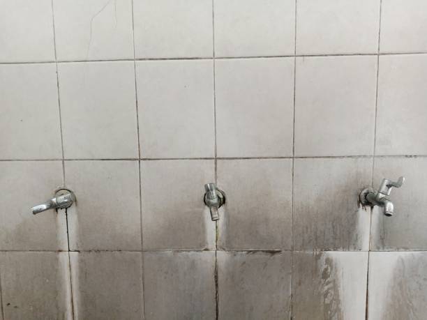 Best Mold removal after water damage  in Phoenixville, PA