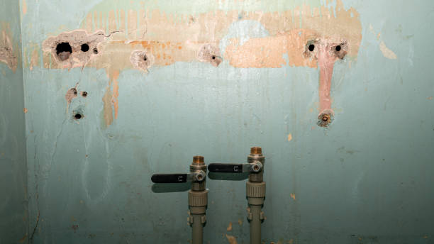 Best Local water damage restoration  in Phoenixville, PA