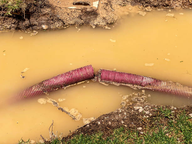 Best Water damage contractors near me  in Phoenixville, PA