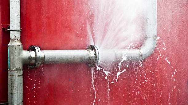 Best Water damage restoration mold remediation  in Phoenixville, PA